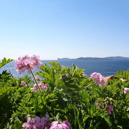 Appartement Casa Vacanze La Sul Golfo